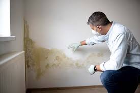 Reliable Swifton, AR Mold Remediation Solutions